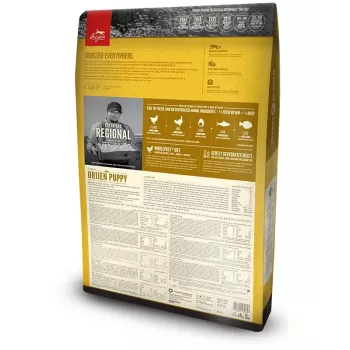 ORIJEN Puppy - comida seca para cães - 6 kg