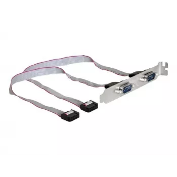 Delock Suporte de slot, 2 x porta série (DB9 macho), 40 cm