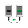Cabo USB DeLOCK 83570 USB 2.0 0,3 m USB B preto