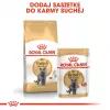 Royal Canin British Shorthair Adult ração seca para gatos, 10 kg