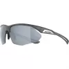 Óculos de sol Alpina Nylos HR Cat. 3 cinzento