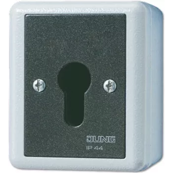 Interruptor de chave JUNG 806.28 G — 2 polos, com fios, 250 V AC, 16 A, preto/branco