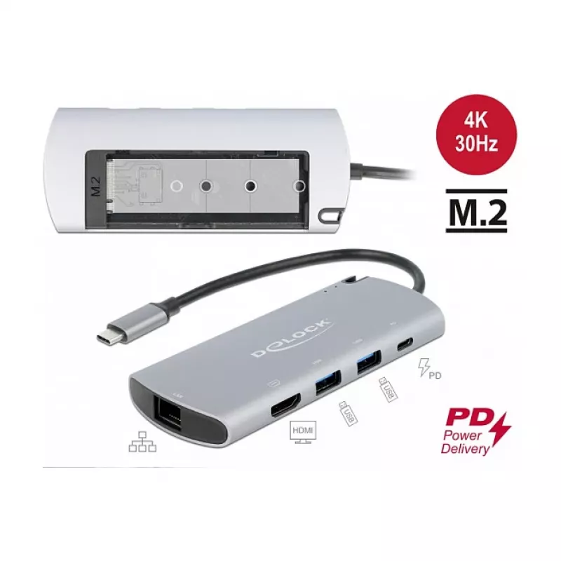 Docking station DeLOCK USB Type-C com slot M.2