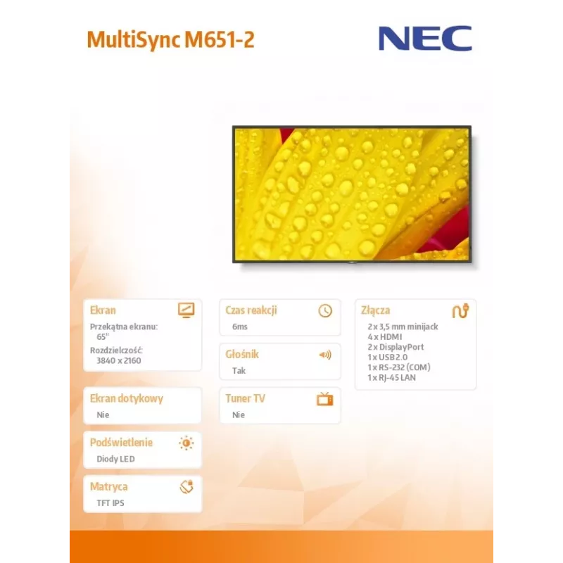 NEC MultiSync M651-2 design quiosque 165,1 cm (65 polegadas) LED 500 cd/m² 4K Ultra HD Preto Processador integrado