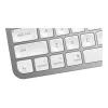 Teclado MX Keys Mini Mac Pale 920-010526 cinzento