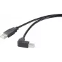 Renkforce RF-4613068 cabo USB 0,5 m USB 2.0 USB A USB B preto (RF-4613068)