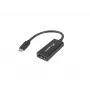 Adaptador de cabo de vídeo Lanberg AD-UC-DP-01