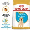 ROYAL CANIN SHN Breed Labrador Junior comida seca para cães - 12 kg