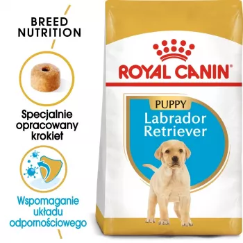 ROYAL CANIN SHN Breed Labrador Junior comida seca para cães - 12 kg