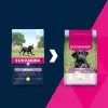 EUKANUBA Puppy Large/XL ração seca para cães, rica em frango, 15 kg