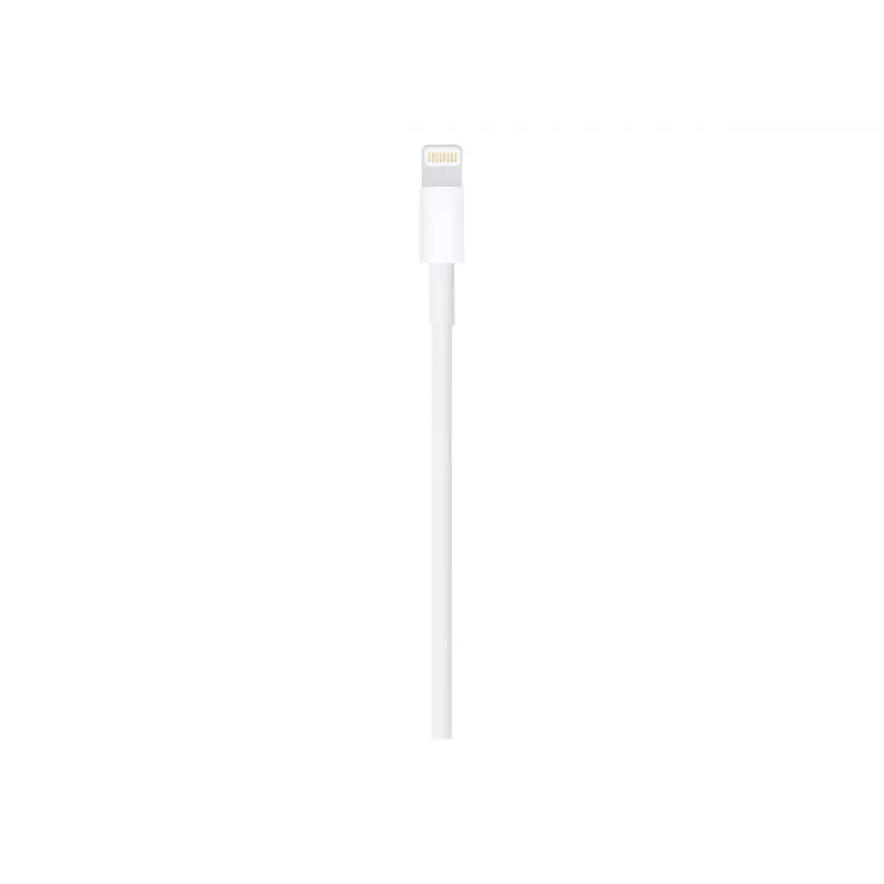 Cabo Apple Lightning para USB 1 m MUQW3ZM/A