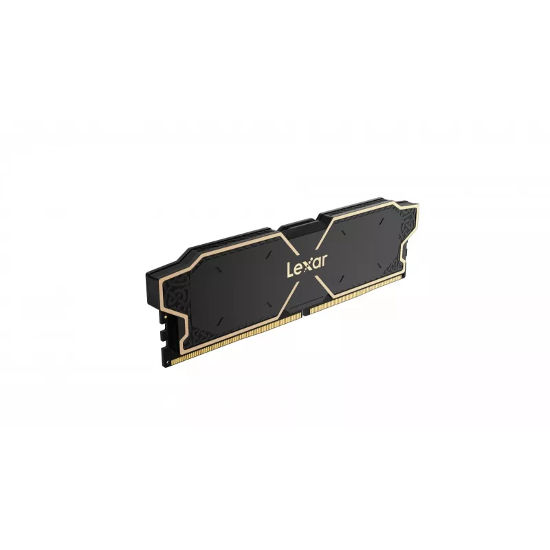 Módulo de memória Lexar LD5U08G60C38LG-RGD