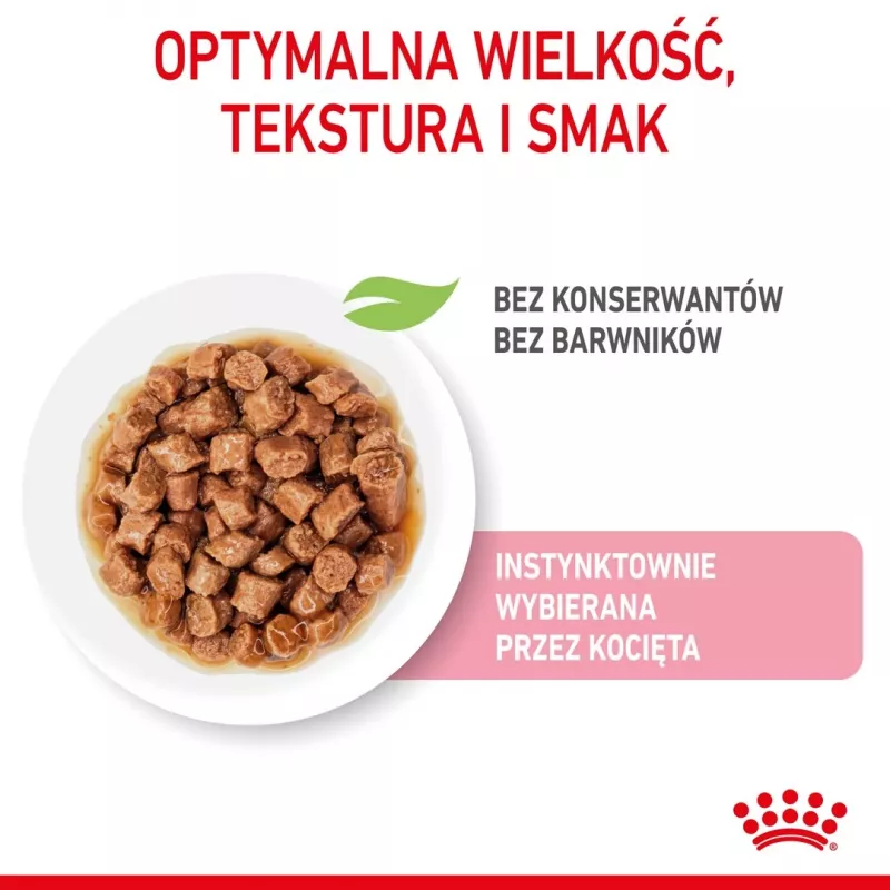Royal Canin FHN Kitten Sterilised alimento húmido para gatos em molho, embalagem de 12 x 85 g