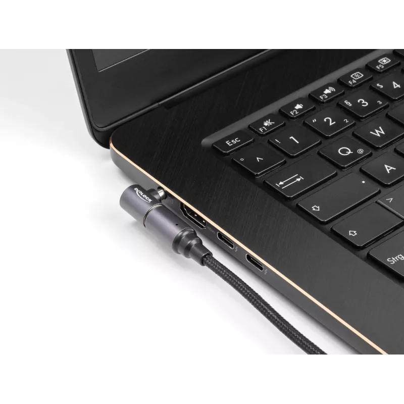 Cabo de alimentação DeLOCK 80781 0,15 m USB-C 8 pinos 20 V