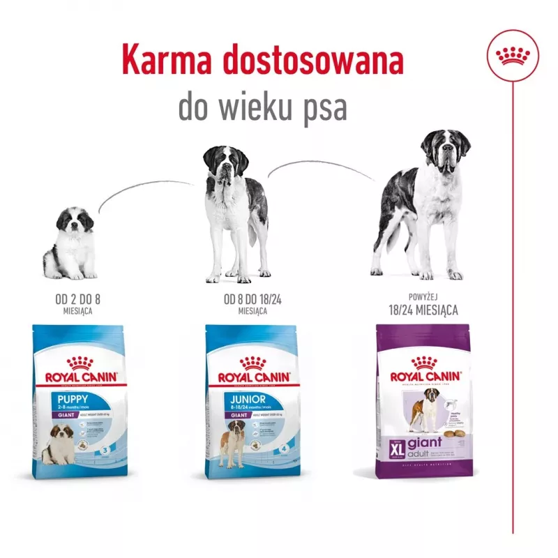 ROYAL CANIN Giant Adult - Ração seca para cães - 15 kg