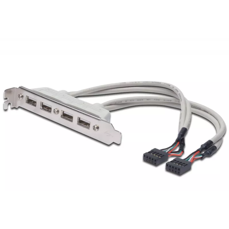 Cabo para chapa de slot USB 2.0 HighSpeed Tipo 2xIDC (5pin)/4xUSB A M/F cinzento 0,25 m