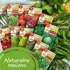 Conjunto de sementes TORAF Spring Flavors - 12 embalagens