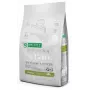 NATURE'S PROTECTION Superior Care White Dogs Grain Free Junior Small Fish ração seca para cães 10 kg
