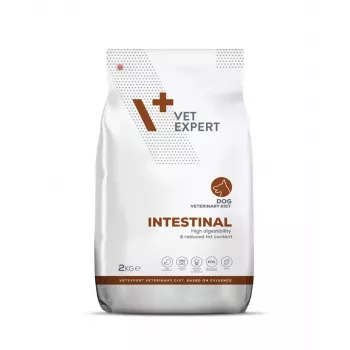 VET EXPERT Veterinary Diet Intestinal Dog - Alimento seco para cães - 2 kg