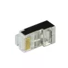 Conector CAT.6 RJ45 100 unidades, laranja