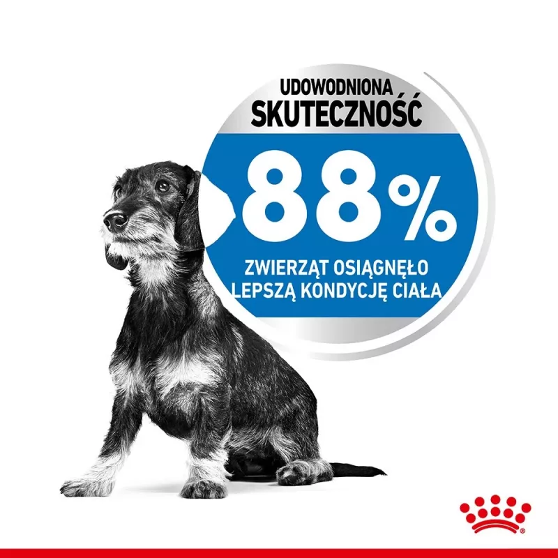 Royal Canin CCN MINI LIGHT WEIGHT CARE - Ração seca para cães adultos - 3 kg