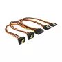Cabo de alimentação interno DeLOCK 60151 0,3 m 4 x SATA 15 pinos