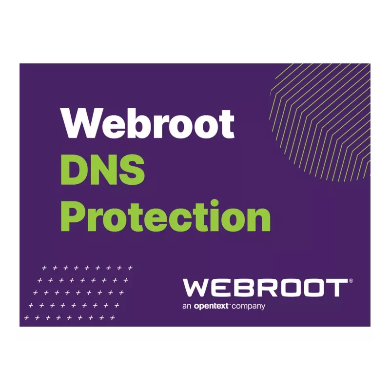 Webroot | DNS Protection with GSM Console | 1 ano(s) | Quantidade de licenças 10-99 utilizadores