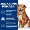 HILL'S PD Canine Derm Complete - comida húmida para cães - 370g