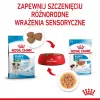 ROYAL CANIN SHN Mini Puppy in Sauce - Comida húmida para cachorros - 12X85g