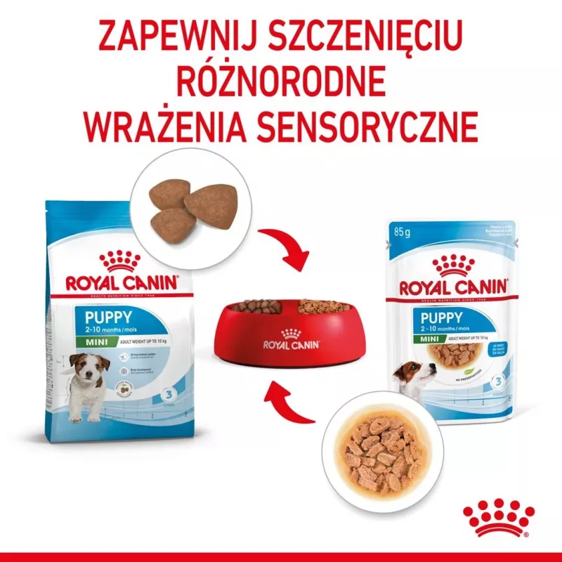 ROYAL CANIN SHN Mini Puppy in Sauce - Comida húmida para cachorros - 12X85g