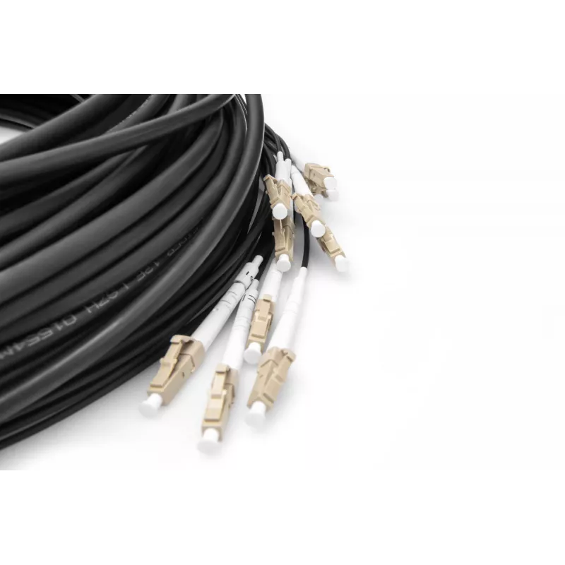 Cabo breakout Digitus DK-2433CU030BK-BBB 30 m OM4 12 fibras LC/UPC