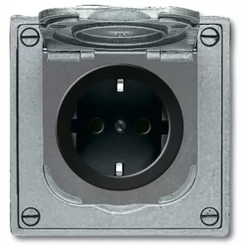 BUSCH JAEGER BJ 20 EFDB2 tomada com proteção reforçada contra contacto e tampa basculante aparelho de encastrar cinzento