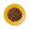 Applaws Senior com frango, ração seca para gatos, 2 kg