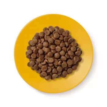 Alimento seco para gatos Applaws Senior Chicken — sem cereais / sem glúten 2 kg saqueta, 36,5% proteína, para gatos idosos
