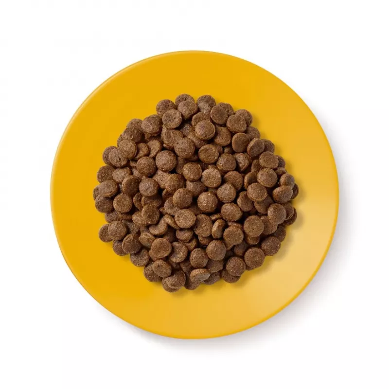 Applaws Senior com frango, ração seca para gatos, 2 kg