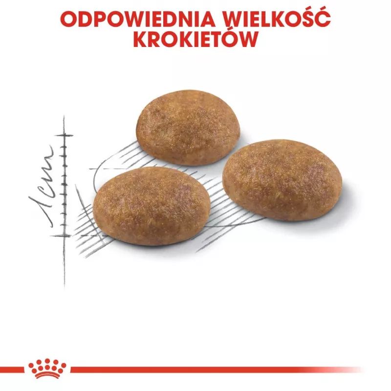 Royal Canin Outdoor comida seca para gatos 2 kg