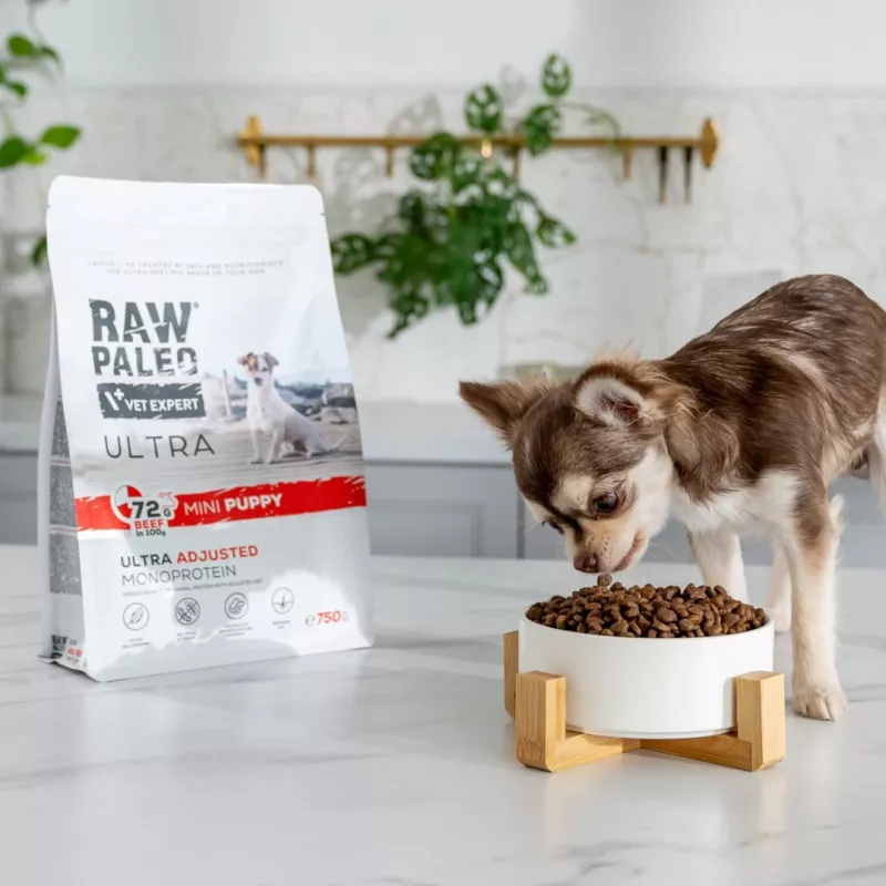VETEXPERT RAW PALEO Ultra Mini Puppy bovino, ração seca para cachorros de raças pequenas, 2 kg