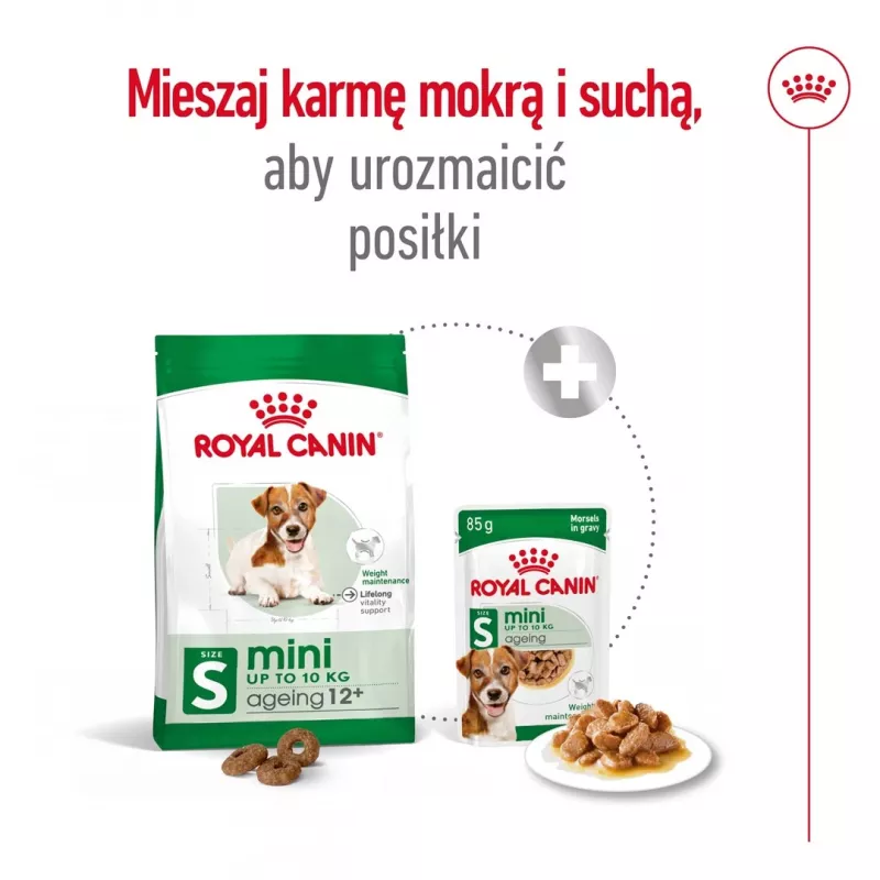 ROYAL CANIN Mini Ageing Adult +12 - Ração seca para cães - 3,5 kg