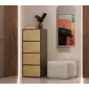 Cómoda ALMA, antracite/carvalho artisan