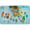 LEGO DUPLO 10452 Excursão de campismo