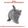 Ração seca para gatos Royal Canin British Shorthair Kitten 2 kg – frango, 38% proteína, 20% gordura, fórmula de crescimento