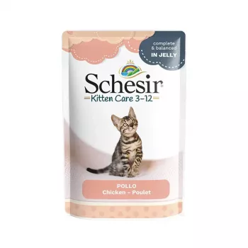 SCHESIR Filetes de Frango em Gelatina - Alimento húmido para gatinhos - 85 g