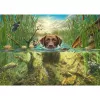 Mark Fredrickson: dog love - Labrador castanho em água fresca, Puzzle 1000 peças
