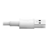 Cabo de sincronização/carregamento USB-A para Lightning Eaton Tripp Lite Series (M/M) - Certificado MFi, branco, 6 pés (1,8 m) - Cabo de dados/alimentação - USB macho para Lightning