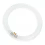 Lâmpada fluorescente circular Osram L 40W/840 C G10Q branco neutro T9