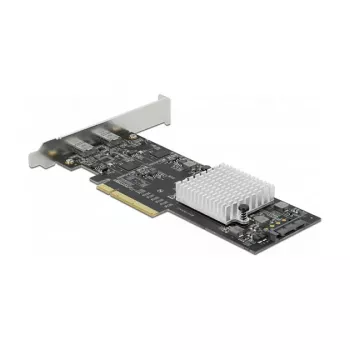 Placa PCI Express x8 DeLOCK 89009