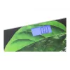 Balança de casa de banho Mesko MS 8149 Peso máximo 150 kg Precisão 100 g preta verde