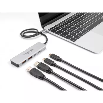 DeLOCK hub USB USB Type-C 10 Gbit/s 2x Type-A 2x Type-C cabo de 35 cm