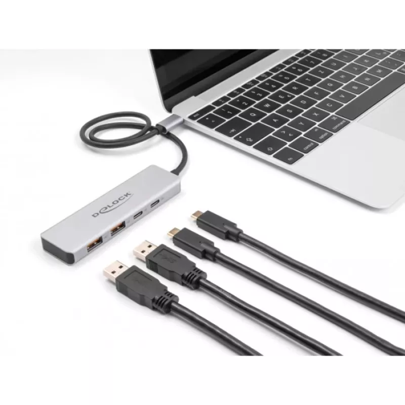 DeLOCK hub USB USB Type-C 10 Gbit/s 2x Type-A 2x Type-C cabo de 35 cm