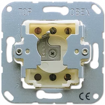 JUNG 134.28 - interruptor de chave - 2P - metálico - 250 V - 50 - 60 Hz - 10 A